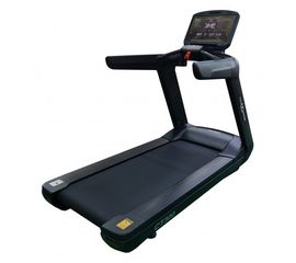 Профессиональная Беговая дорожка CardioPower PRO CT300, фото 