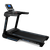 Беговая дорожка OXYGEN FITNESS NEW CLASSIC AURUM AC LCD, фото 