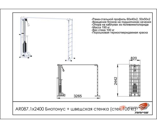 Биотонус-1 (стек 100 кг), фото 